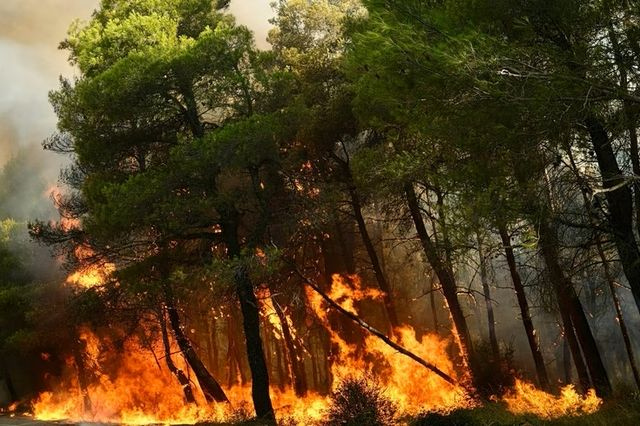 Πολύ υψηλός κίνδυνος πυρκαγιάς αύριο στην Κρήτη – Που απαγορεύεται η κυκλοφορία