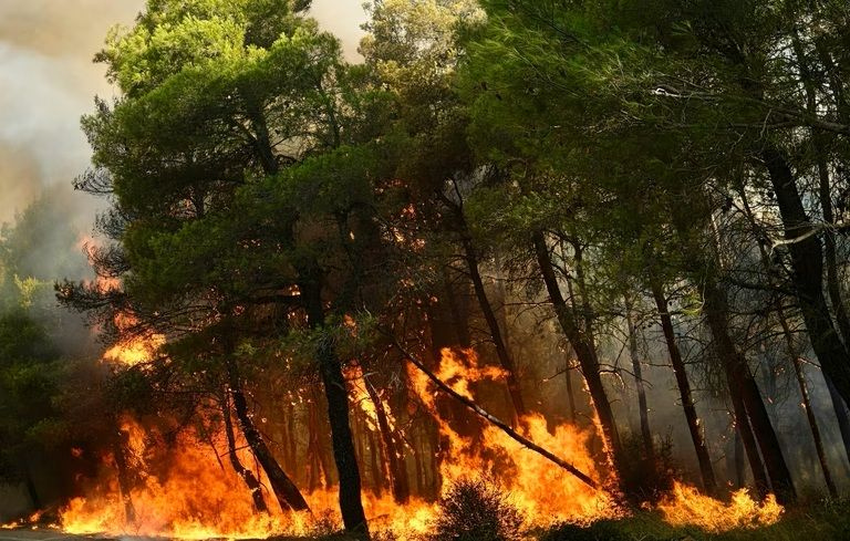 Φωτιά στο Πόρτο Γερμενό – Λέκκας: «Υπάρχει ένα εκρηκτικό κοκτέιλ» – Τι είπε για τα ρήγματα της περιοχής