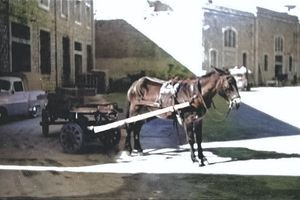 Ετος 1960!