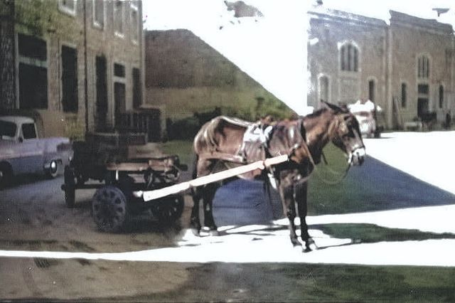 Ετος 1960!