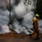 Γαλλία: 474 συλλήψεις για εμπρησμούς – 11.000 στρέμματα έγιναν στάχτη στην περιοχή Λαντ
