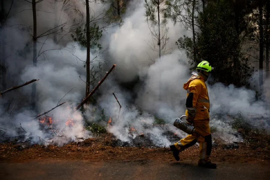 Γαλλία: 474 συλλήψεις για εμπρησμούς – 11.000 στρέμματα έγιναν στάχτη στην περιοχή Λαντ