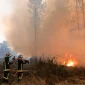 Γαλλία: Εκατοντάδες συλλήψεις για τις φωτιές του καλοκαιριού –  Το 70% κατηγορείται για εμπρησμό