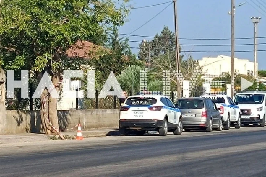 Δύο αστυνομικοί τραυματίες από την επίθεση των Ρομά στη Γαστούνη – Ταυτοποιήθηκαν οι δράστες