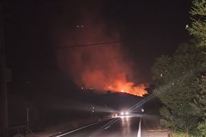 Υπό έλεγχο η φωτιά στην Κριτσά: Παραμένουν ισχυρές δυνάμεις στην περιοχή