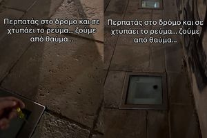 Ηράκλειο: Σκύλος έπαθε ηλεκτροπληξία από σβηστό φωτιστικό – Το βίντεο στο TikTok που αποκάλυψε τη διαρροή ρεύματος