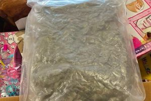 Είχε κρύψει ναρκωτικά σε κουτιά παιχνιδιών – Συνελήφθη 21χρονος με πάνω από 12 κιλά κάνναβη