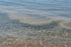 «Φωτιές» στη Λότζια για το περιστατικό με τα λύματα