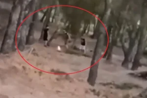 Βίντεο: Ανήλικοι έβαλαν φωτιά στο δάσος Άνω Βριλησσίων και την έσβησαν, τους αναζητά η Πυροσβεστική