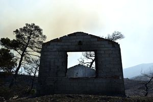 Στάχτες παντού: Αποκαρδιωτικές εικόνες από το Πόρτο Γερμενό, μια ημέρα μετά το σαρωτικό πέρασμα της φωτιάς