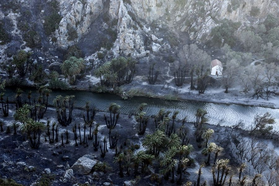 Σταύρος Παπασταύρου: Απέφυγε τα χειρότερα η Πρέβελη – Μόλις 3,5 στρέμματα κάηκαν
