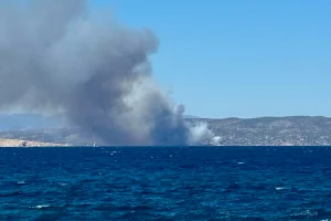 Φωτιά τώρα σε δασική έκταση στη Σαλαμίνα – Σηκώθηκαν επτά εναέρια μέσα