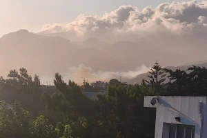Τρεις προσαγωγές και μία σύλληψη για τη φωτιά στα Σελλιά Ρεθύμνου