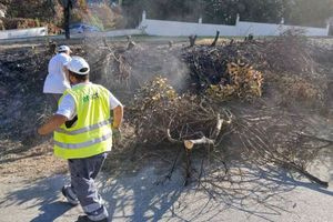 Χαλκιδική: Εκτεταμένοι καθαρισμοί στη Σίβηρη μετά τη μεγάλη πυρκαγιά