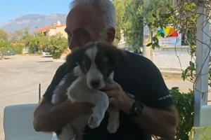 Ένα μικρό “θαύμα” μέσα στις φλόγες – Ο Μπρούνο, το κουτάβι, που γλίτωσε από τη φωτιά