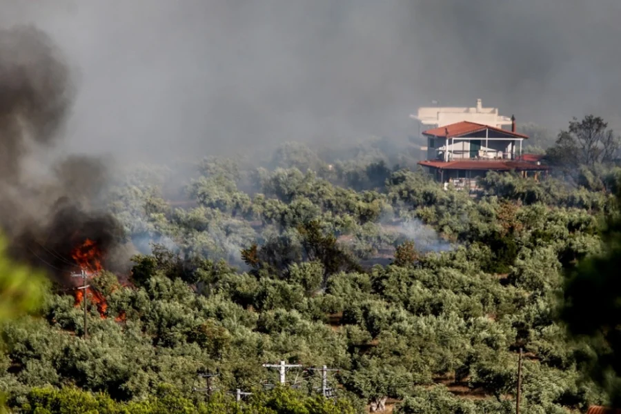Φωτιά στη Βοιωτία: 112 για εκκένωση της Λιβαδόστρας – Σε απόσταση 10 μέτρων από τα σπίτια οι φλόγες, λέει ο πρόεδρος Λεύκτρων