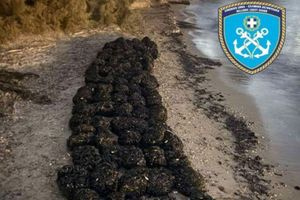 Σύλληψη 57χρονου για παράνομη οστρακοαλιεία και κατάσχεση 1.570 κιλών οστράκων στην Πάρο