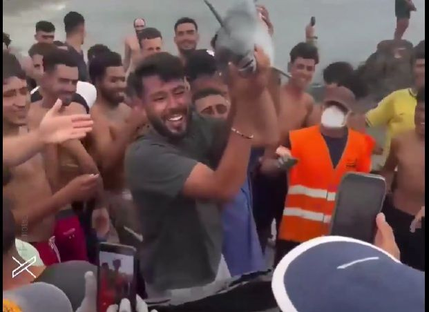 Κτηνωδία δίχως τέλος στη Θέουτα: Εγκλώβισαν και χτύπησαν με ρόπαλο μέχρι θανάτου μωρό δελφίνι και έβγαλαν selfie