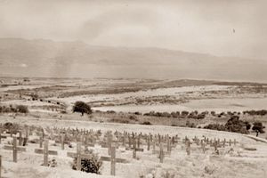 Ροδάνθη Γεωργίου Σαββάκη-Βαμβουκάκη