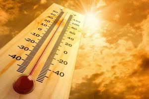 Καύσωνες: Περίπου 3.000 πλεονάζοντες θάνατοι από την ακραία ζέστη καταγράφηκαν το καλοκαίρι στο Βέλγιο, αριθμός-ρεκόρ 16.300 θανάτων σημειώθηκε στη Γερμανία