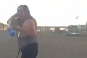 Σμήνος μελισσών σκότωσε 45χρονη δικαστικό στο Μεξικό – Προσπάθησε να προστατεύσει τον 3χρονο γιο της και δέχθηκε περίπου 300 τσιμπήματα