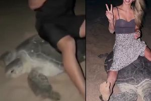 Σοκ στο Διαδίκτυο: Ουκρανοί τουρίστες “καβάλησαν” θαλάσσια χελώνα στο Ομάν και προκάλεσαν παγκόσμια οργή