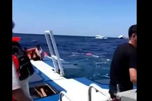 Κύπρος: Οι 20 αγνοούμενοι του ναυαγίου είναι πιθανώς εγκλωβισμένοι μέσα στο βυθισμένο πλοίο, δηλώνουν οι αρχές