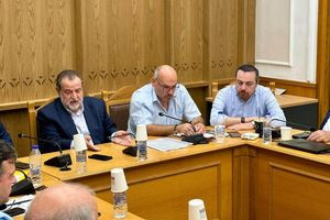 Φραγκίσκος Παρασύρης: «Πέντε χρόνια μετά, η Πεδιάδα δεν μπορεί να περιμένει άλλο – Ο αγώνας για την Παπούρα συνεχίζεται και στα ευρωπαϊκά δικαστήρια»
