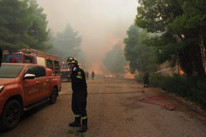 Βελτιωμένη η εικόνα της πυρκαγιάς στη Μακρυκάπα Εύβοιας