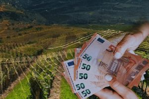 ΥΠΑΑΤ: Το άρθρο 74 δεν νομιμοποιεί παράνομες επιδοτήσεις – Επιτρέπει την ορθή εκκαθάριση των αιτήσεων ενίσχυσης της περιόδου 2018-2022