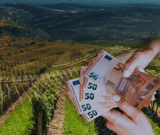 ΥΠΑΑΤ: Το άρθρο 74 δεν νομιμοποιεί παράνομες επιδοτήσεις – Επιτρέπει την ορθή εκκαθάριση των αιτήσεων ενίσχυσης της περιόδου 2018-2022