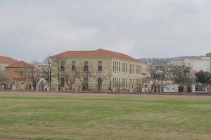 Κρυψώνα για κάνναβη ένας φοίνικας σε αυλή σχολείου