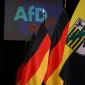 Η Ρωσία στηρίζει ανοικτά την AfD λίγο πριν από τις εκλογές στο Μεκλεμβούργο-Δυτική Πομερανία