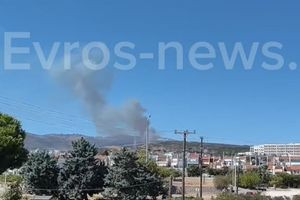 Φωτιά τώρα σε δάσος στην Αλεξανδρούπολη: Καίει κοντά στην Εγνατία Οδό – Σηκώθηκαν 4 εναέρια