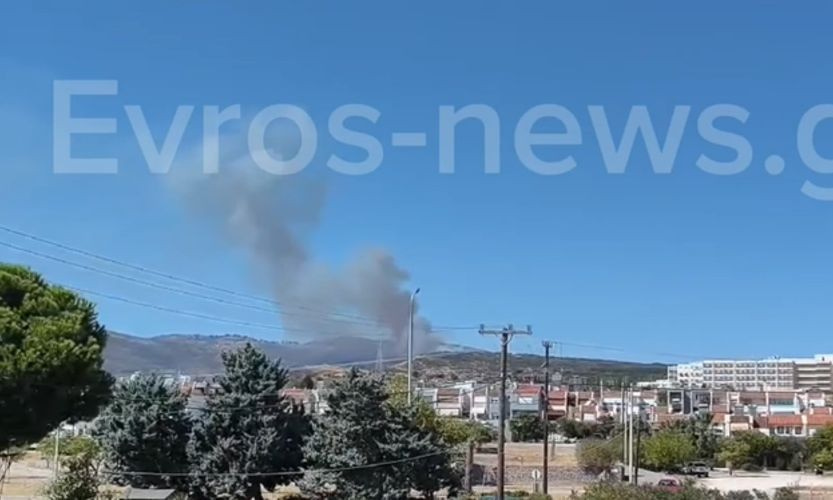 Φωτιά τώρα σε δάσος στην Αλεξανδρούπολη: Καίει κοντά στην Εγνατία Οδό – Σηκώθηκαν 4 εναέρια