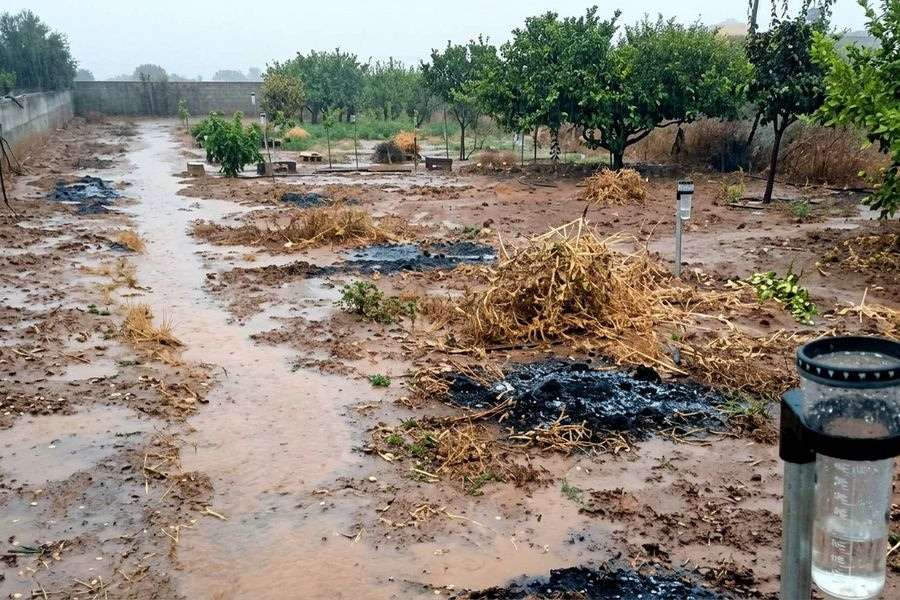 Βροχές στην Κρήτη μετά την ανομβρία: Πόσο από το νερό που έπεσε είναι πραγματικά χρήσιμο για τις καλλιέργειες;