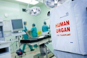 ΠΑΓΝΗ: 69χρονη γυναίκα χάρισε ζωή με τη δωρεά των οργάνων της