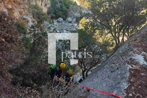 Το σίκουελ της επιχείρησης «Σώστε την κατσίκα»: Τρεις κατσίκες, μια δύσκολη πλαγιά και η 3η ΕΜΑΚ σε… αποστολή διάσωσης (pics)