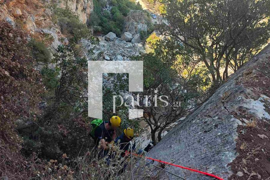 Το σίκουελ της επιχείρησης «Σώστε την κατσίκα»: Τρεις κατσίκες, μια δύσκολη πλαγιά και η 3η ΕΜΑΚ σε… αποστολή διάσωσης (pics)