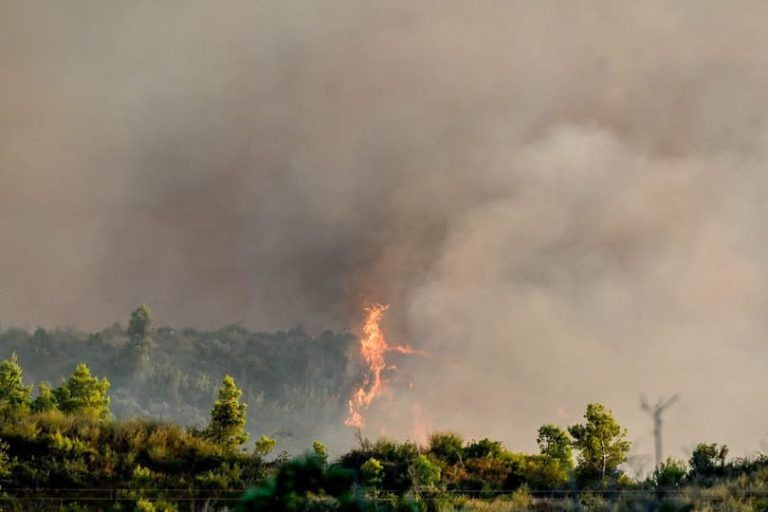 Πυρκαγιά στη Δροσοπηγή Αφιδνών – Ισχυρές δυνάμεις της Πυροσβεστικής στο σημείο