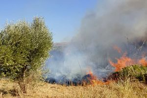 Νέο πύρινο μέτωπο στη Γαρίπα