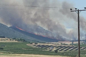 Φωτιά στον Μύτικα Θήβας, καίει κοντά σε φωτοβολταϊκό πάρκο – 14 εναέρια στη μάχη