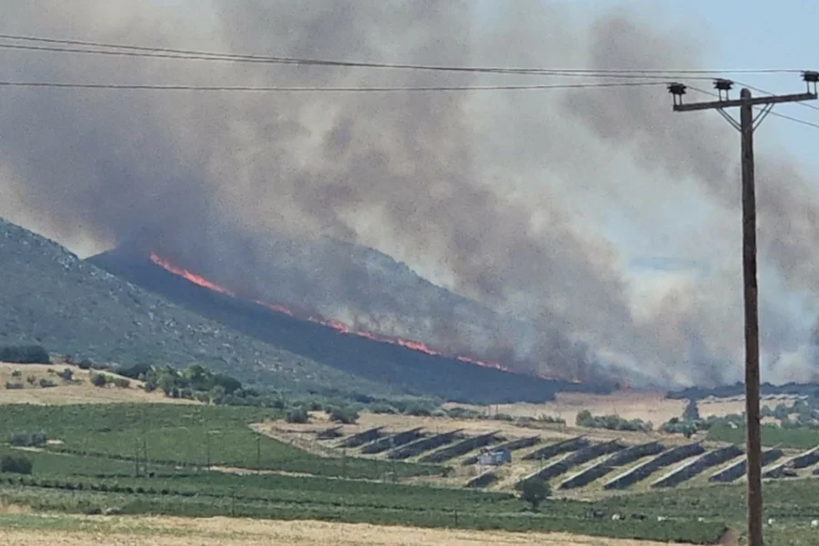 Φωτιά στον Μύτικα Θήβας, καίει κοντά σε φωτοβολταϊκό πάρκο – 14 εναέρια στη μάχη