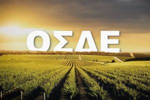 «Τρομοκρατία»…   χωρίς απάτη και χωρίς δικαίωμα σιωπής!