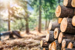 Ακριβότερα πετρέλαιο και καυσόξυλα – Πόσο θα πληρώσουν φέτος τα νοικοκυριά στην Ελλάδα
