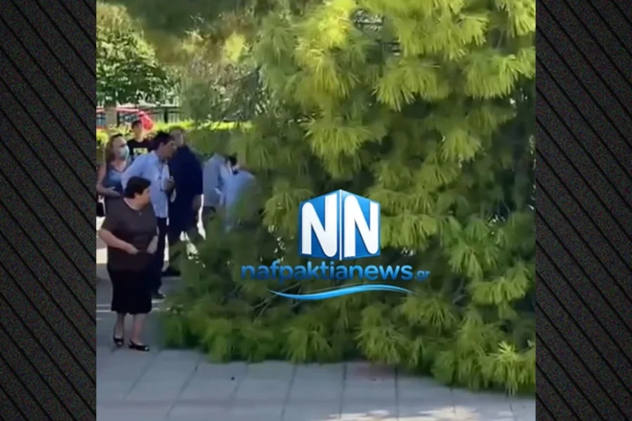 Ναύπακτος: Τρεις τραυματίες μετά από πτώση μεγάλου κλαδιού έξω από εκκλησία