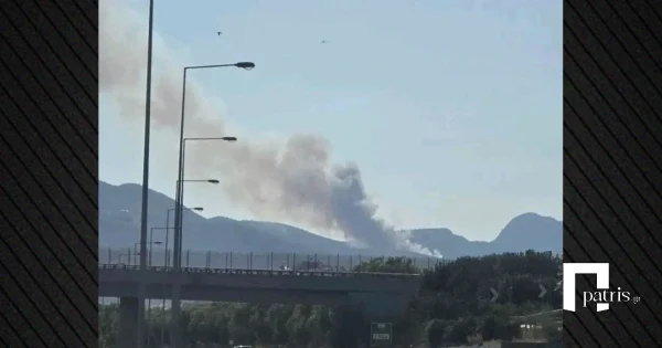 Οριοθετήθηκε η φωτιά σε δασική έκταση στο Κανδήλι Μεγάρων,
