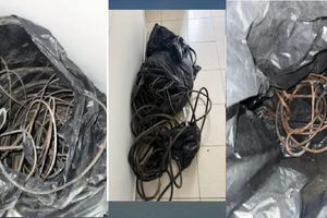 Συνελήφθη 42χρονος “κυνηγός” χαλκού: Τον έπιασαν με τους κόφτες στα χέρια στη Νίκαια