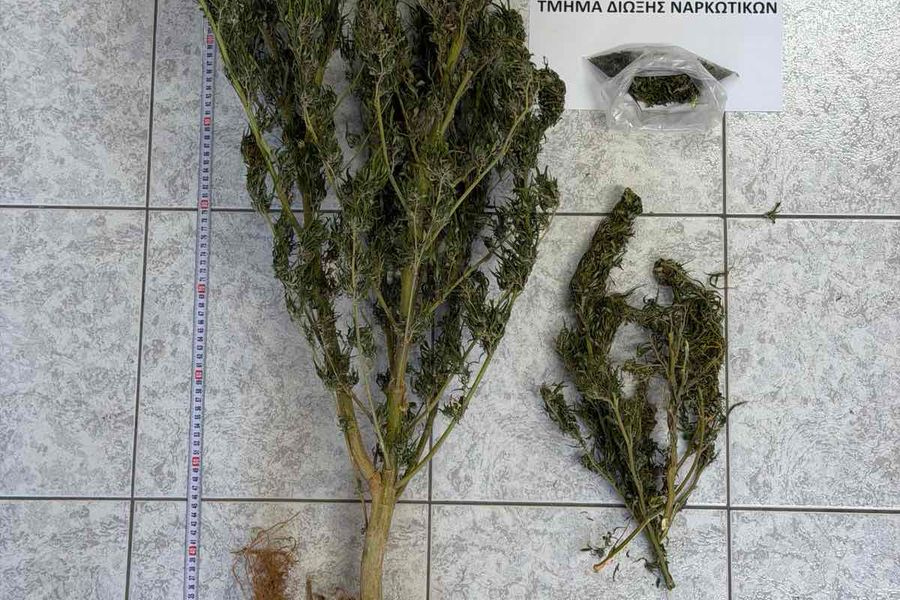 Συλλήψεις για ναρκωτικά σε Άγιο Νικόλαο και Χανιά