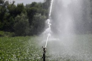 Δήμος Μινώα Πεδιάδας: Απόλυση υδρονομέα και πρόστιμα χιλιάδων ευρώ σε καταναλωτές που παραβίασαν τον Κανονισμό Άρδευσης